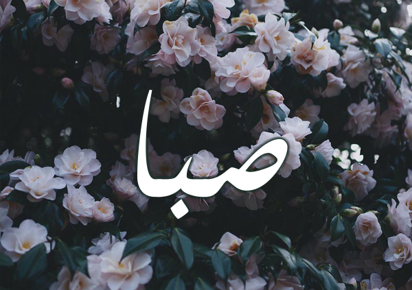 معنى اسم صبا 