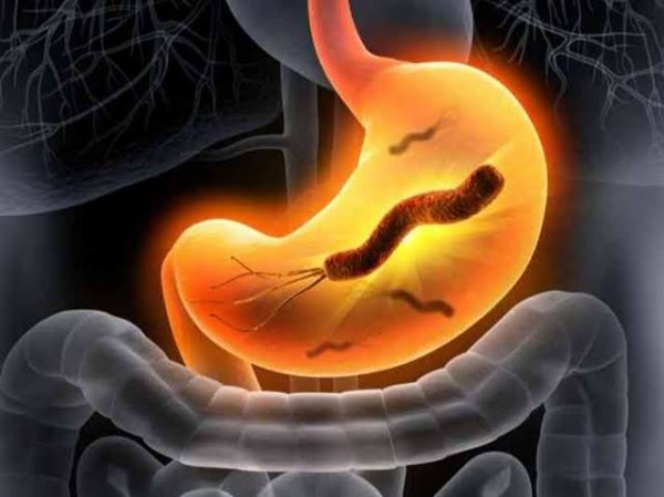 متى تموت جرثومة المعدة متي تموت جرثومة المعده