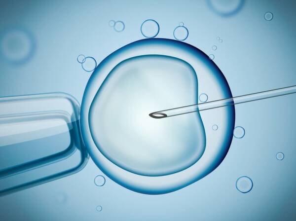 متى يثبت الحمل بعد الحقن المجهري؟