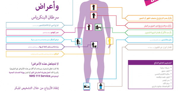 أعراض سرطان البنكرياس المرحلة الأخيرة