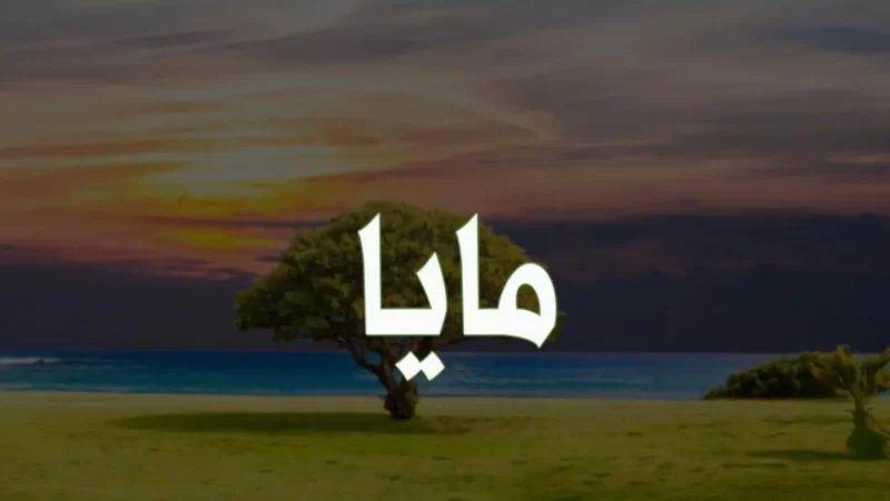 مايا